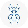 Ant Removals In Wadhurst