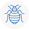 Bed Bug Extermination In Wadhurst