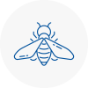 Bee Nest Removal Wadhurst