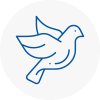 Bird Prevention Wadhurst