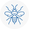 Wadhurst Hornet Nest Removals