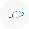 Mice Exterminators In Wadhurst