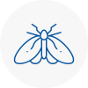 Moth Control Specialists In Wadhurst