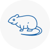 Rat Control Wadhurst