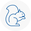 Wadhurst Rodent Removals